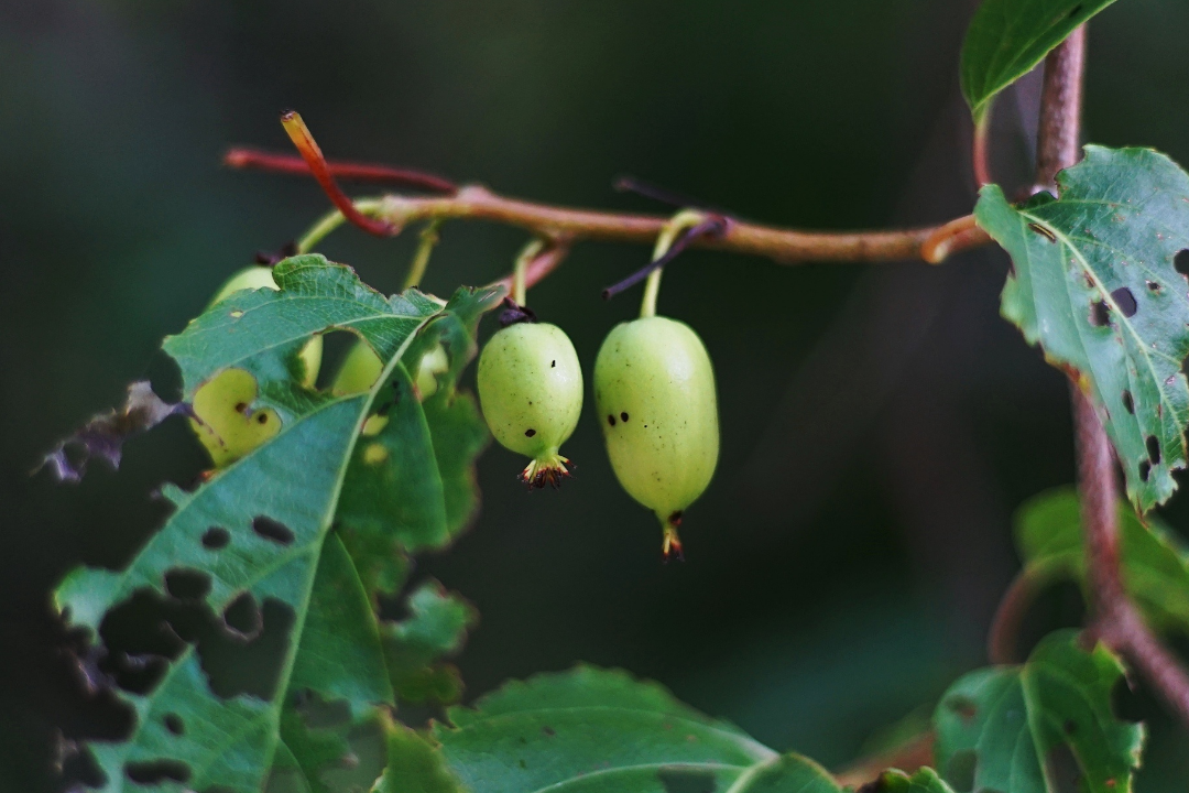δ����__2023-04-25+10_34_57.png