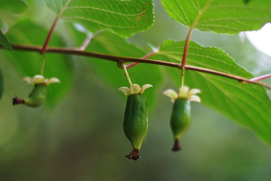 δ����__2023-04-25+10_34_40.png
