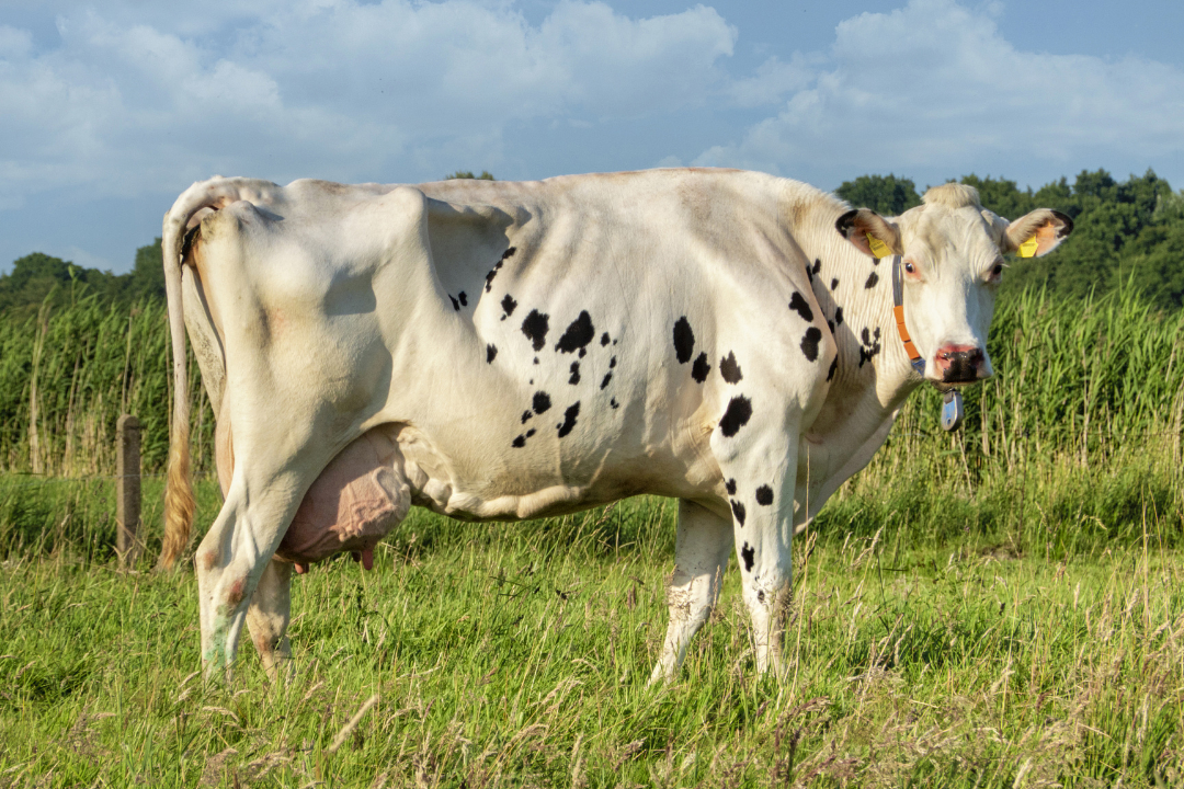 δ����__2023-05-04+15_36_07.png