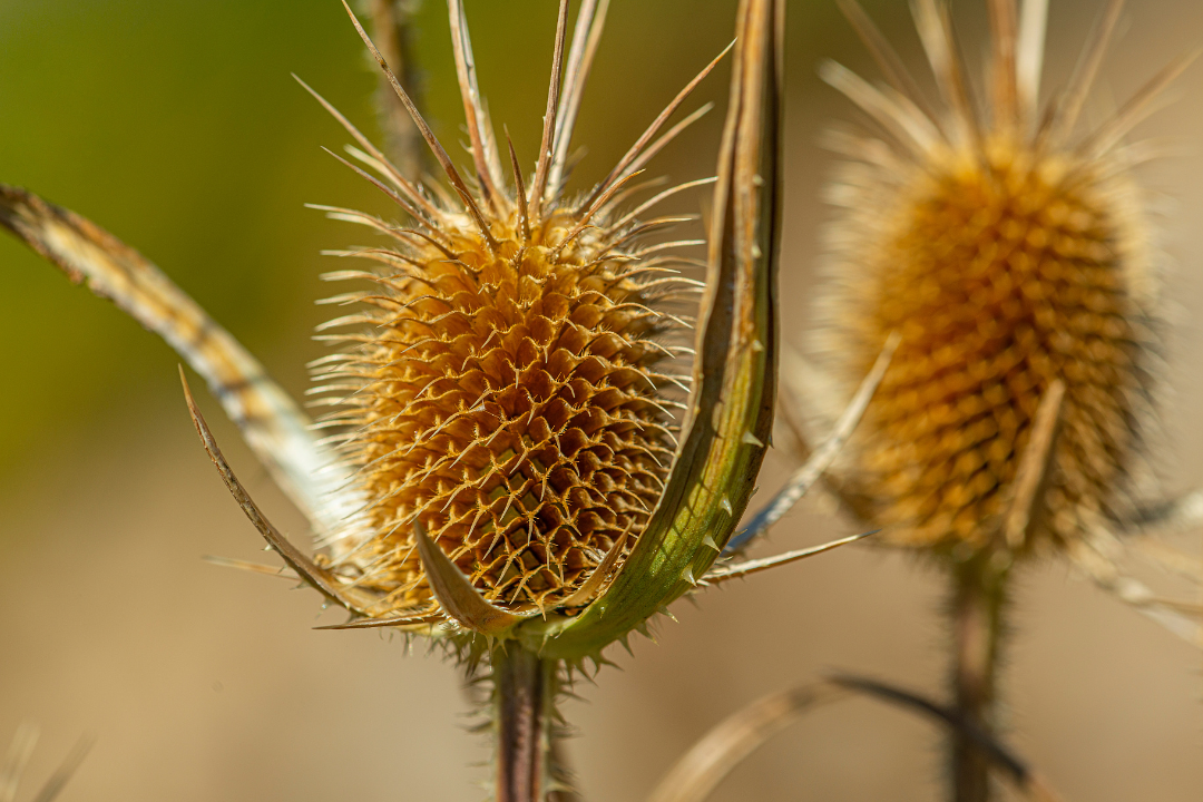 δ����__2023-05-08+16_44_33.png