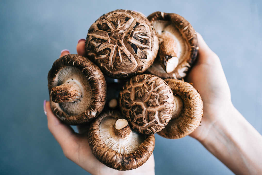 δ����__2023-06-02+16_02_48.png