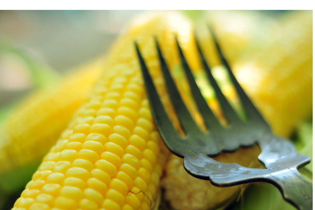 δ����__2023-06-02+15_59_04.png