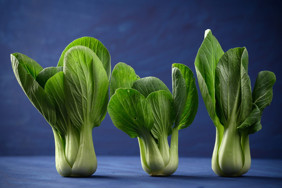 δ����__2023-06-02+16_06_45.png