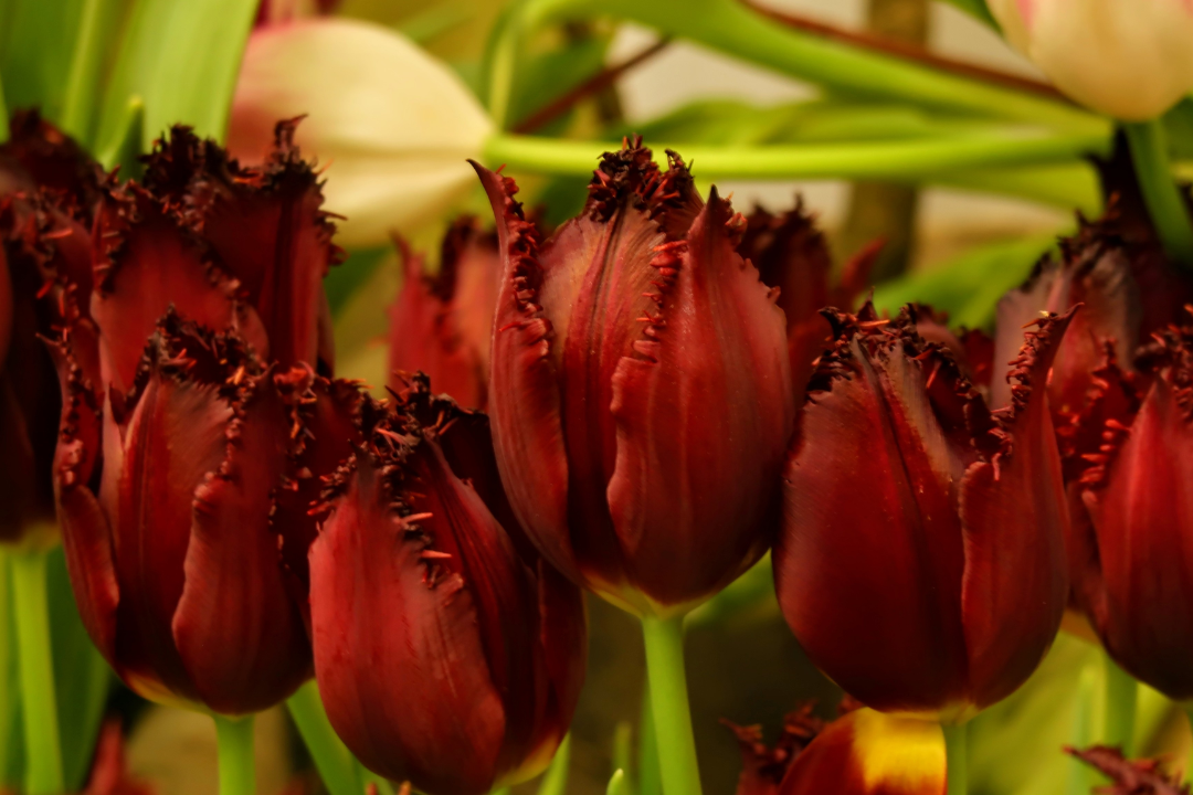 δ����__2023-06-06+09_49_17.png