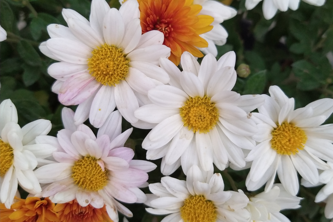 δ����__2023-06-06+09_50_10.png