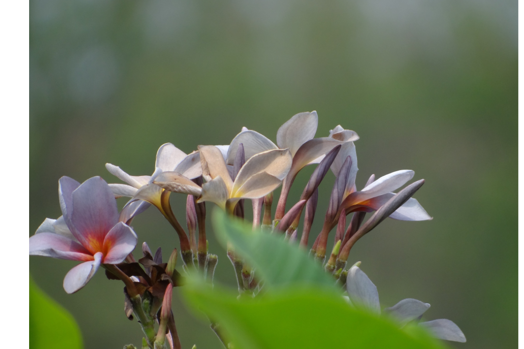 δ����__2023-06-06+09_50_35.png