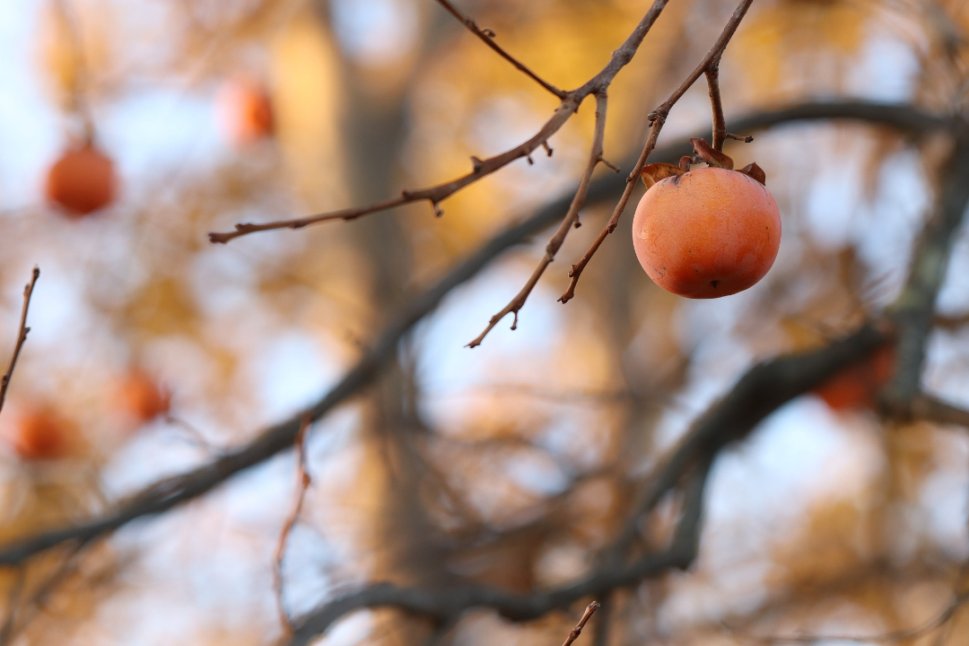 δ����__2023-07-06+10_05_18.png