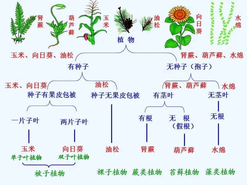 658b801d6e1f2.jpg