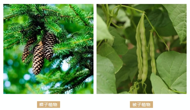 658b802176ced.png