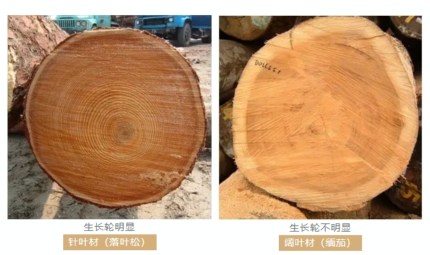 658b8032a5139.png 2.png