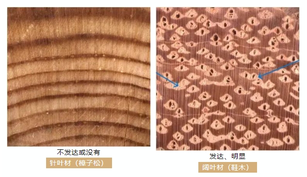 658b80472f613.png 6.png