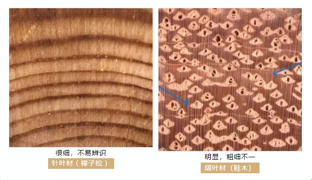 658b80518c634.png 7.png