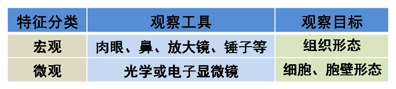 658b8066891ca.png 9.png