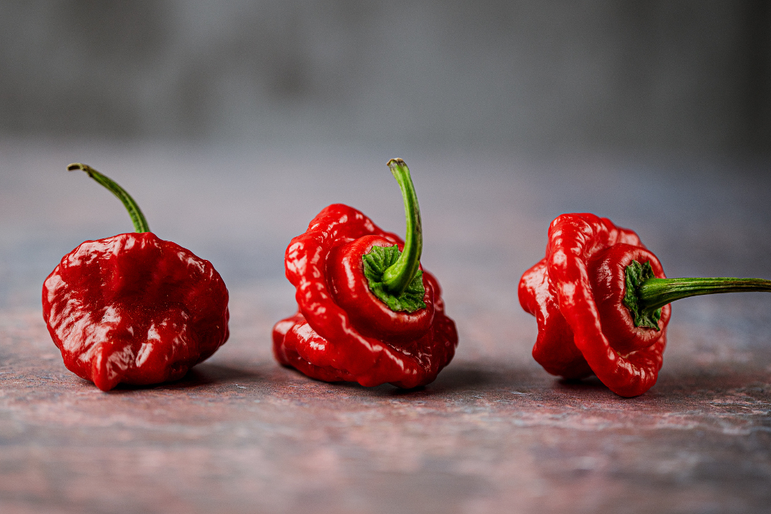 δ����__2024-01-31+11_17_31.png