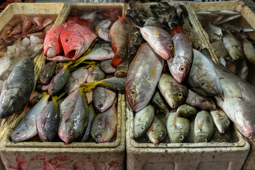 δ����__2023-05-10+14_38_38.png