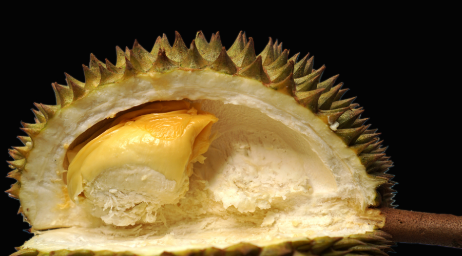 δ����__2024-05-22+11_43_17.png