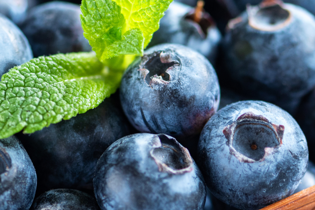 δ����__2024-06-03+11_08_27.png