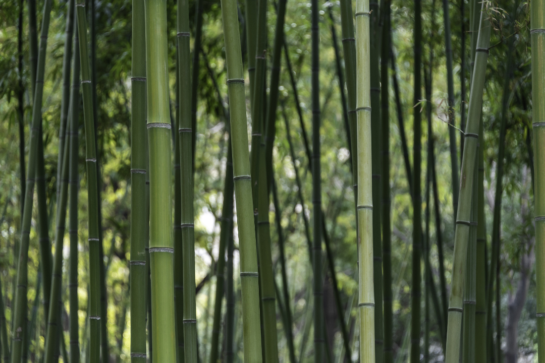 δ����__2023-06-13+09_39_09.png