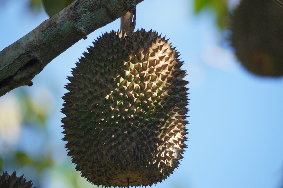 δ����__2024-06-27+11_27_45.png