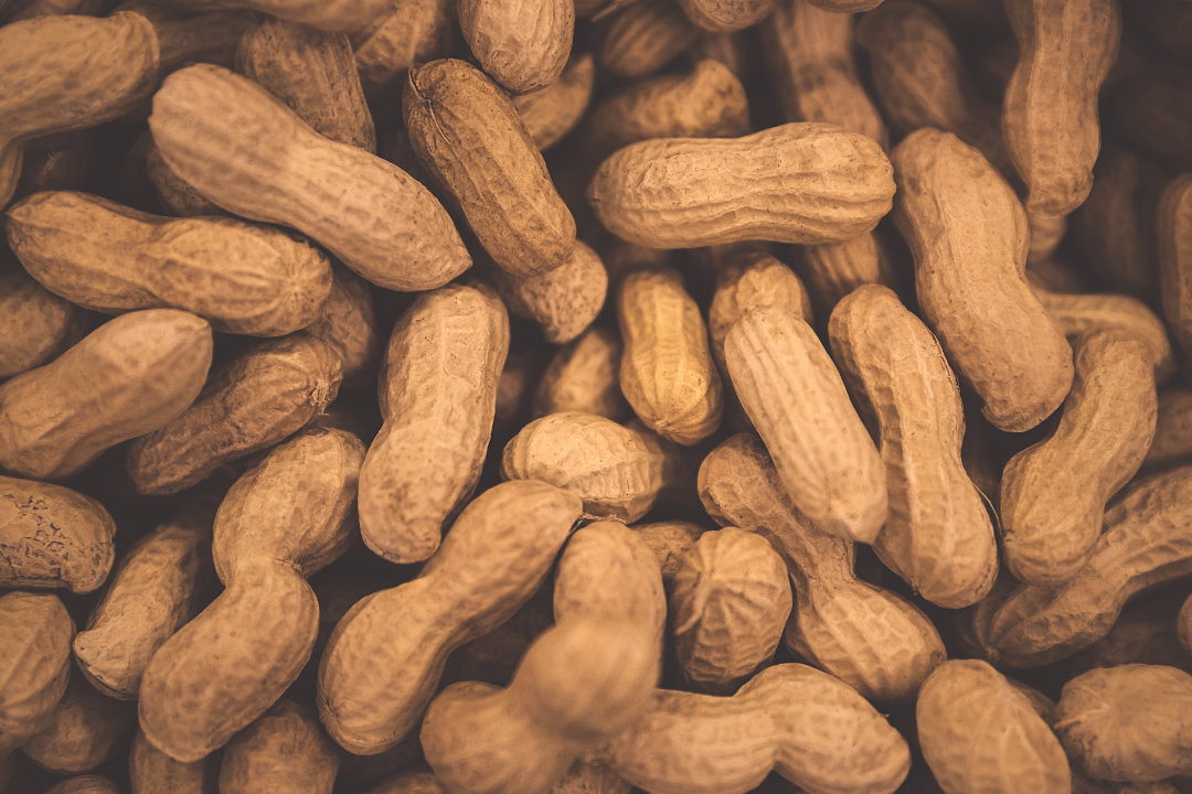 δ����__2024-08-27+11_21_07.png