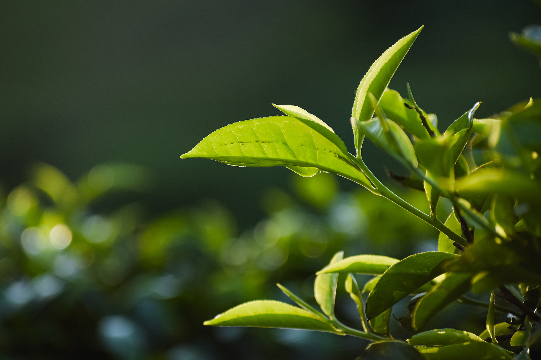 δ����__2023-05-27+10_54_32.png