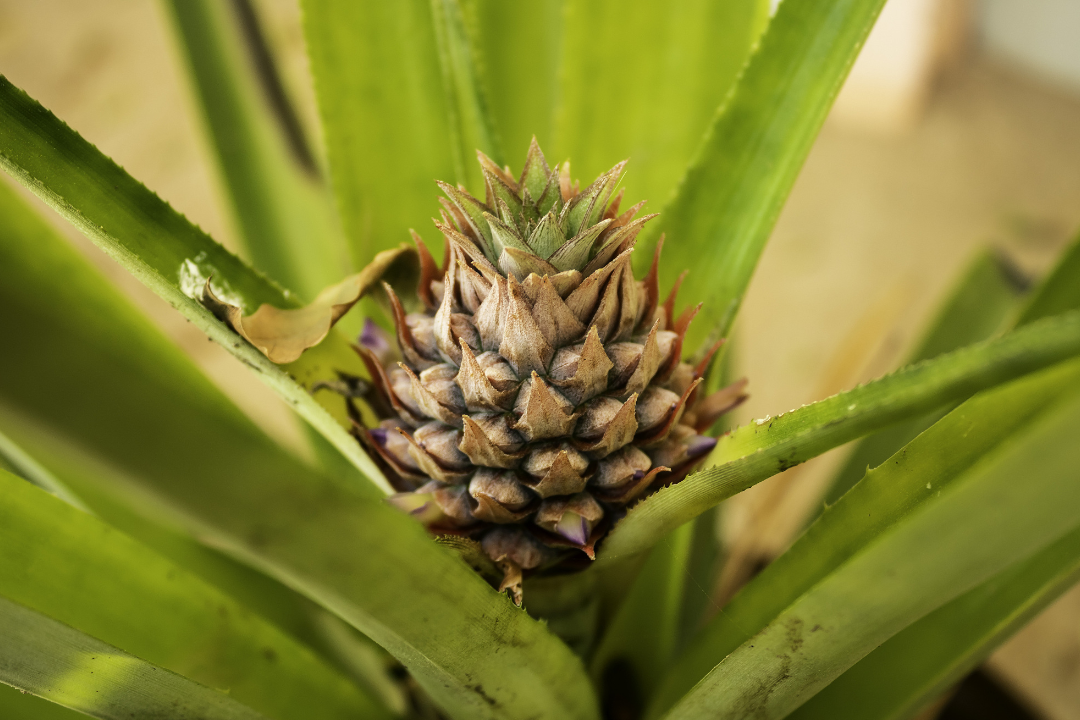 674e64ce0d9ec.png 未命名__2023-09-19+10_04_07.png